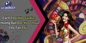 Cách Chơi Kèo Tài Xỉu