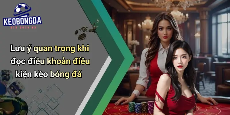 Điều Khoản Điều Kiện