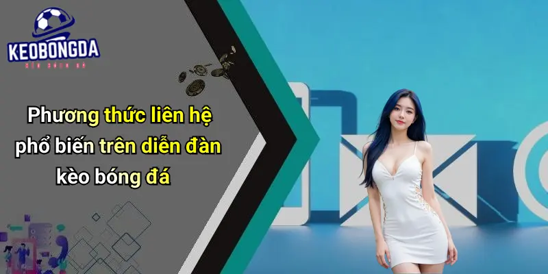 Liên Hệ