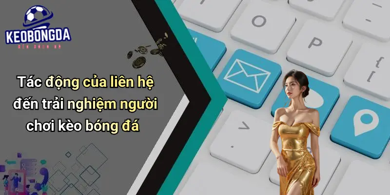 Liên Hệ