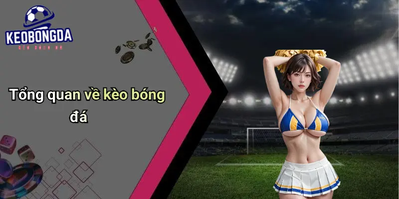Kèo Bóng Đá: Toàn Cảnh Về Tỷ Lệ, Cách Đọc Và Kinh Nghiệm Cược 71 Kèo Bóng Đá