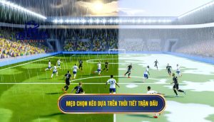 Mẹo chọn kèo dựa trên thời tiết trận đấu