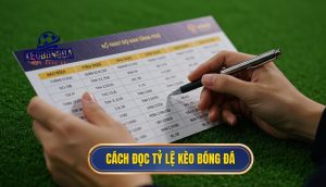 Cách đọc tỷ lệ kèo bóng đá
