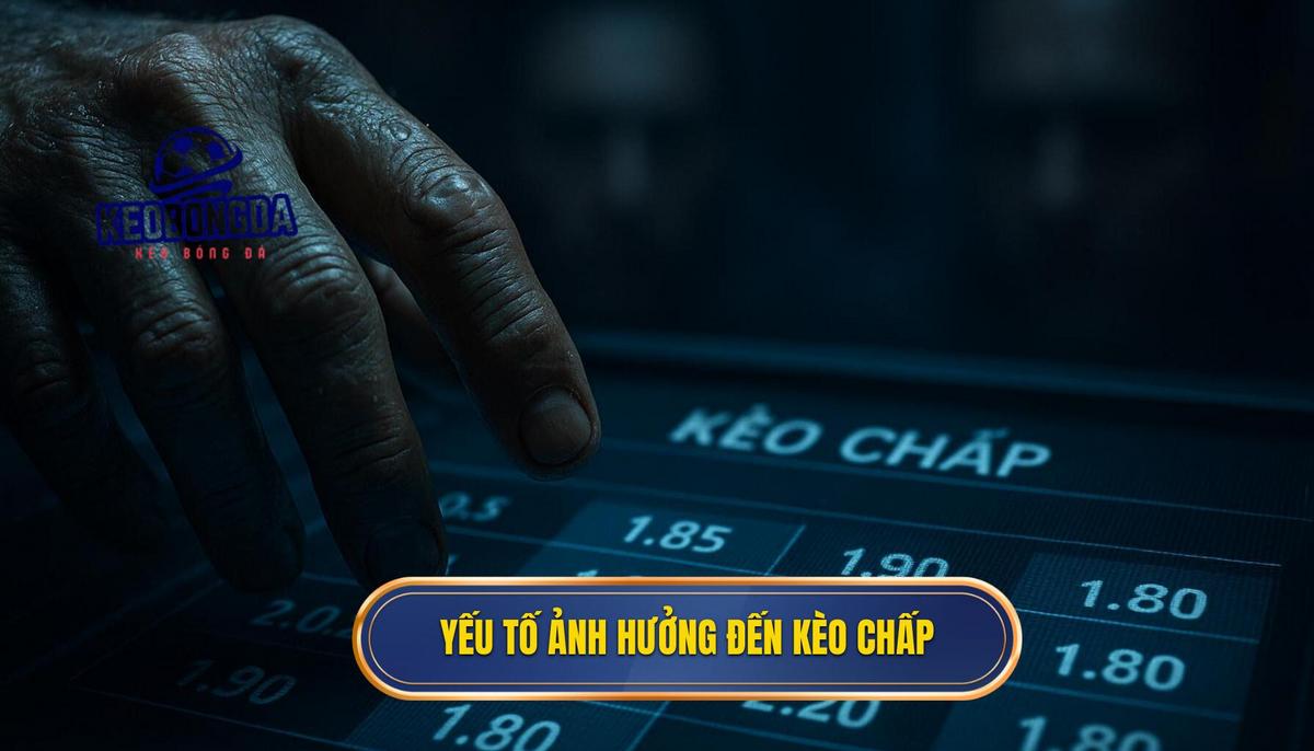 Phân tích chuyên sâu các yếu tố ảnh hưởng đến kèo chấp nửa trái