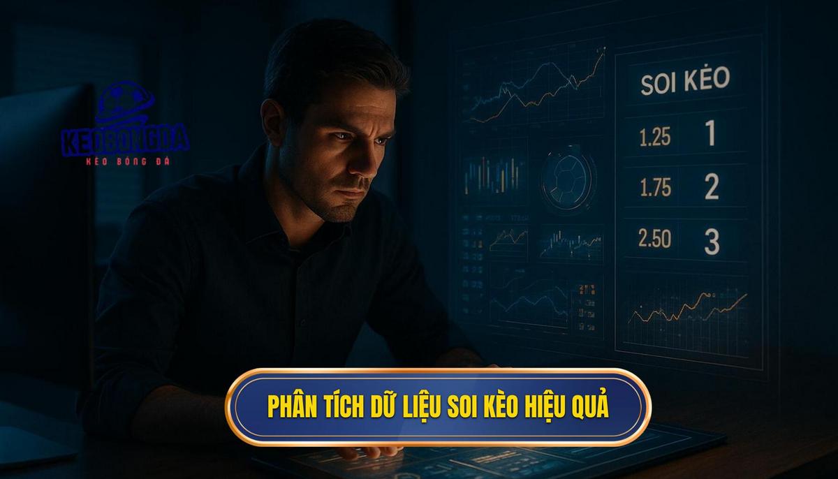 Phân tích dữ liệu chuyên sâu để soi kèo hiệu quả