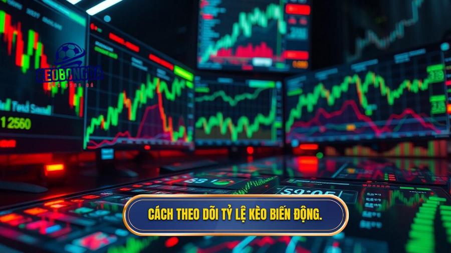 Cách theo dõi tỷ lệ kèo biến động.