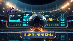 so sánh tỷ lệ kèo các nhà cái uy tín
