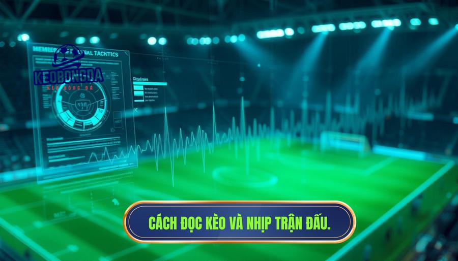 Tại sao nói đọc kèo không chỉ nhìn số – còn phải hiểu nhịp trận?