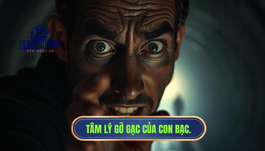 Hiệu ứng "Con bạc khát nước" và tâm lý gỡ gạc