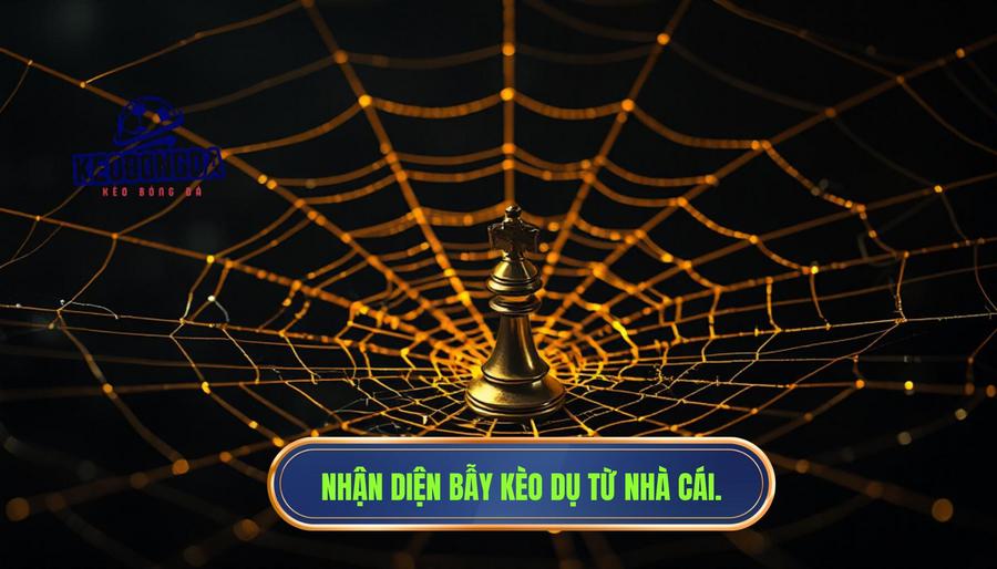 Sự tinh vi của "Kèo dụ" từ nhà cái