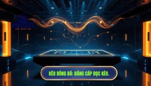 Đọc kèo không chỉ nhìn số – còn phải hiểu nhịp trận