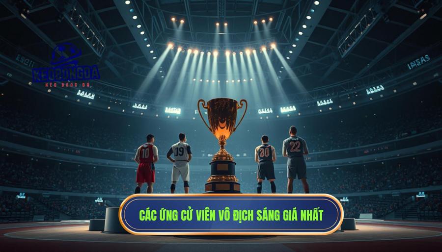Các ứng cử viên vô địch sáng giá nhất