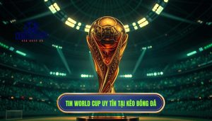Tin World Cup uy tín tại KÈO BÓNG ĐÁ